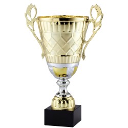 Trophy Cups
